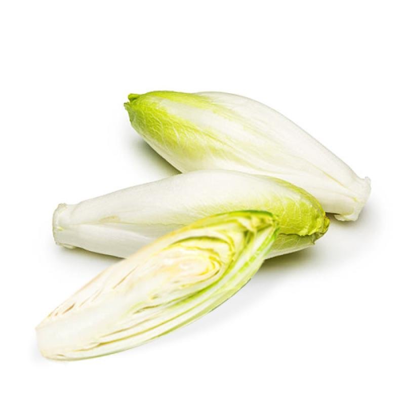 chicory