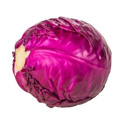 red cabbage