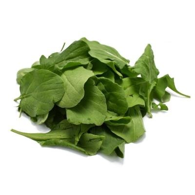 rocket leaf